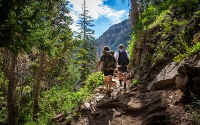 Understanding Child Support in Utah: What You Need to Know