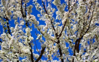 What to Expect When Filing for Divorce in Utah
