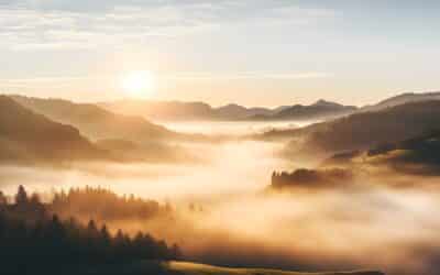 How a Family Law Consultation Can Help You Get Clarity