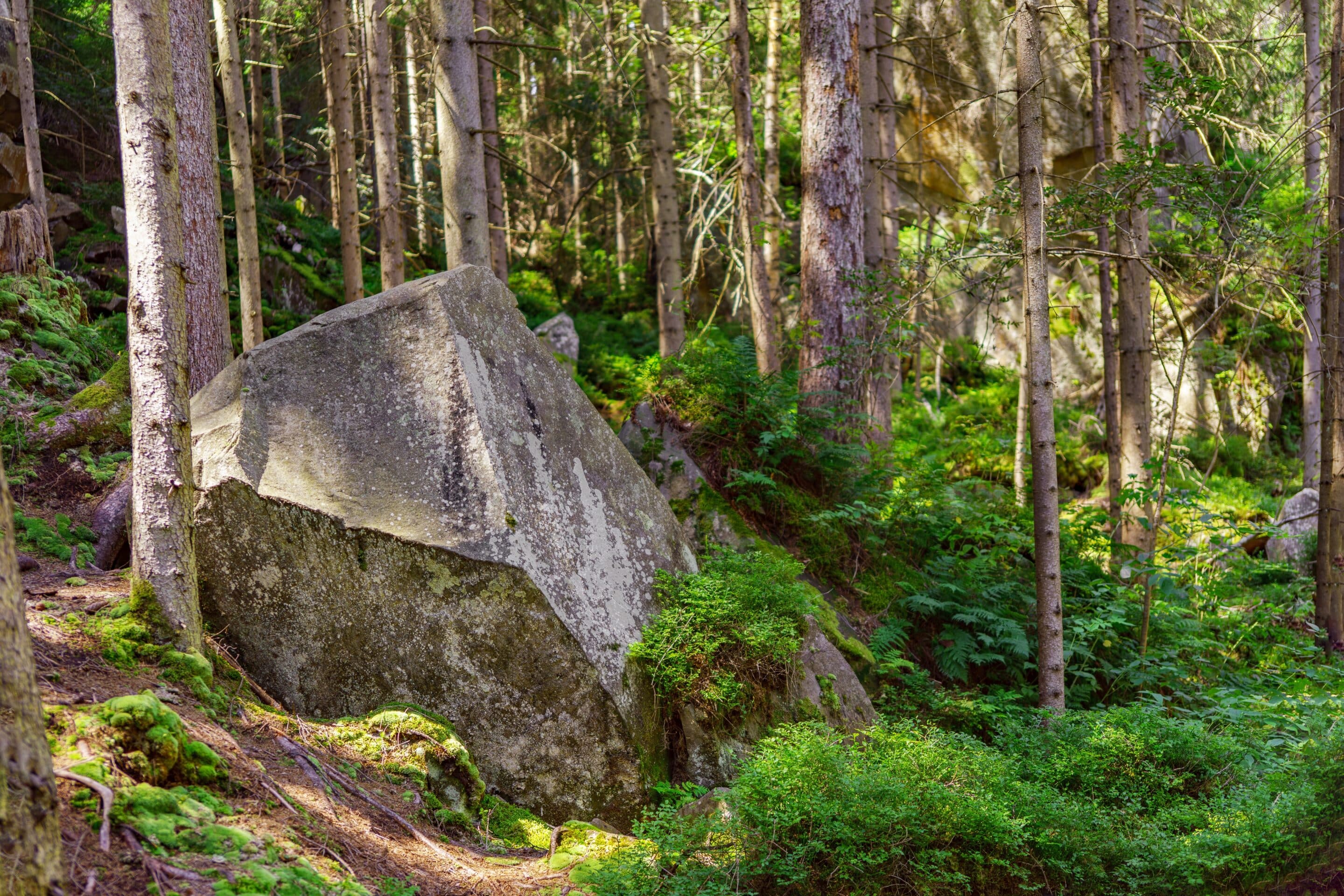Large,Moss,Covered,Boulder,In,A,Coniferous,Forest,With,Vibrant