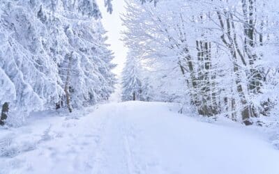 How to Reduce Co-Parenting Stress During the Holidays