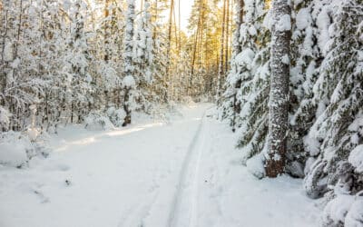 How to Make Clear Decisions When Life Feels Unsteady