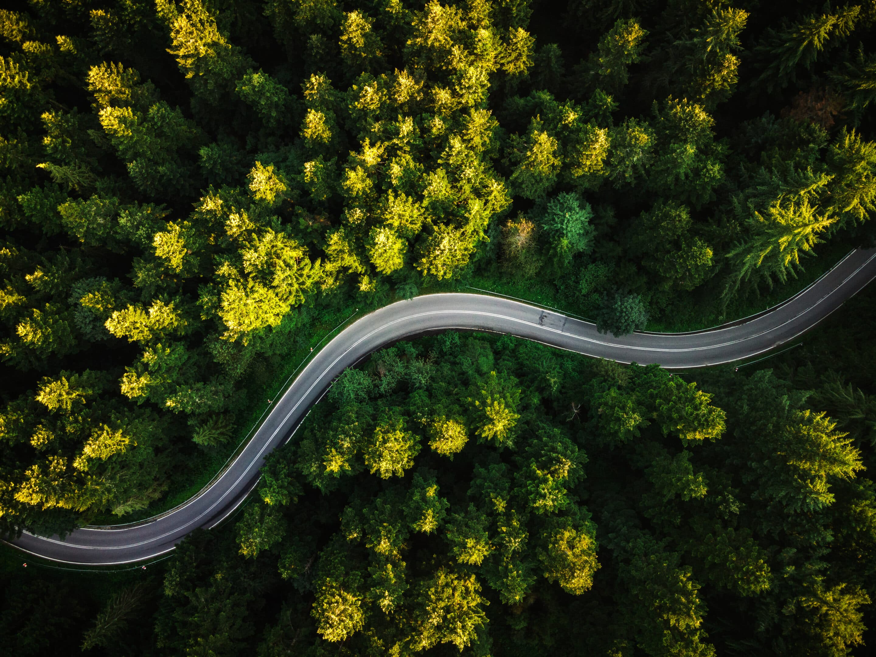 Winding,Curvy,Road,Trough,Forest.,Aerial,Drone,Top,Down,View.