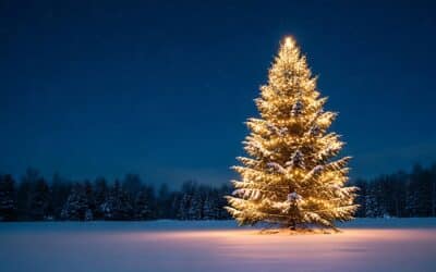 Managing Holidays as Co-Parents: Strategies for a Peaceful Season